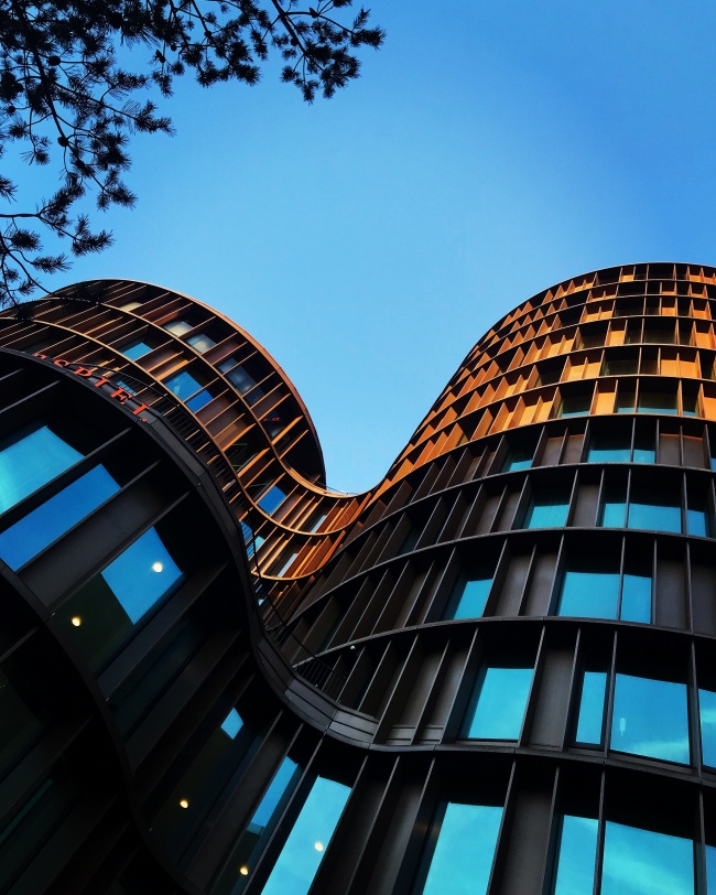 田螺問答 | “種好梧桐樹，引得金鳳來”，聊聊營商環境那些事兒